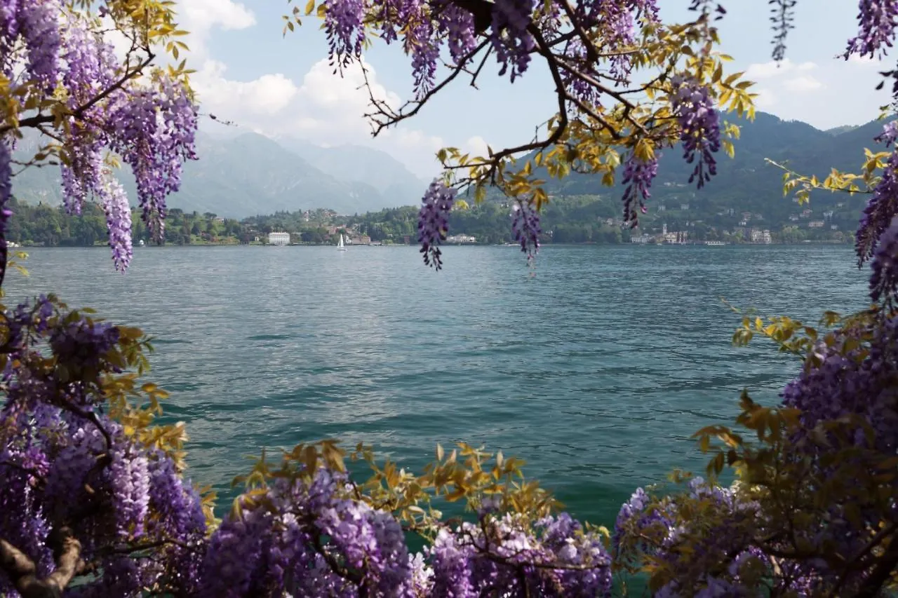 Apartment In Villa Oleandra With Privet Garden & Pool Dizzasco Italy